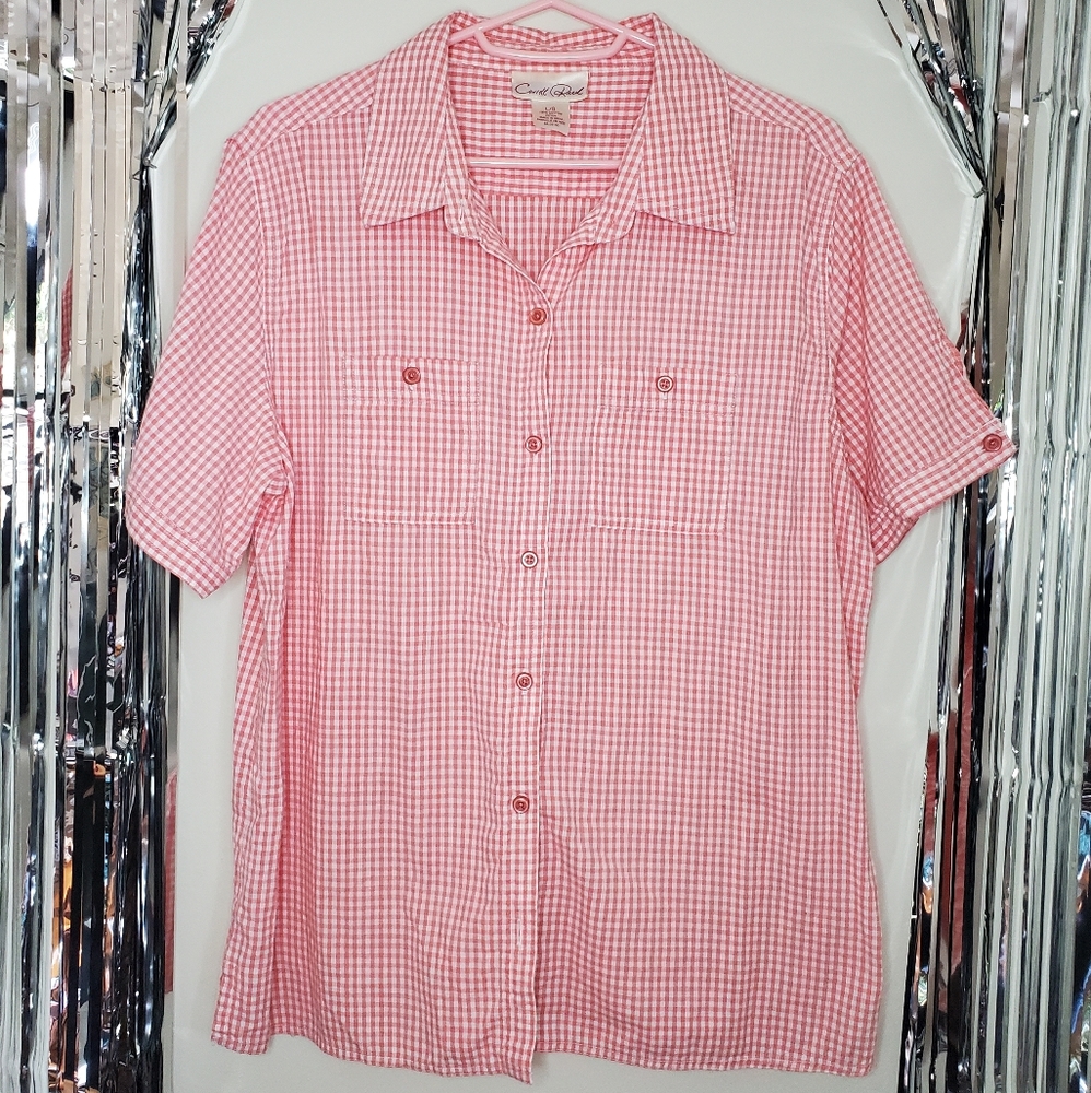 Pink checkered blouse